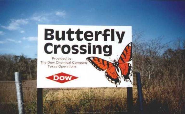 dow butterflys